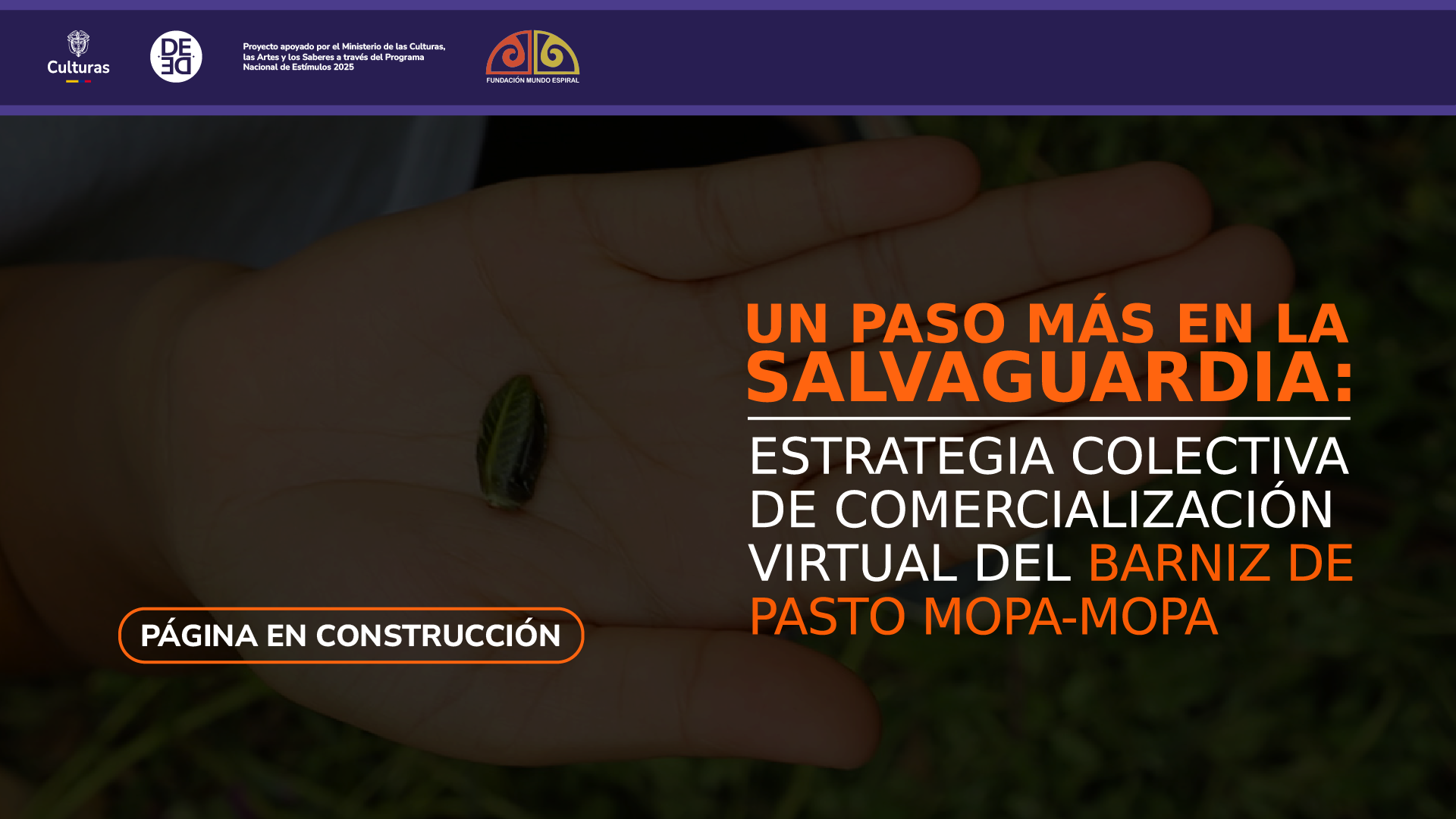 Página en construcción